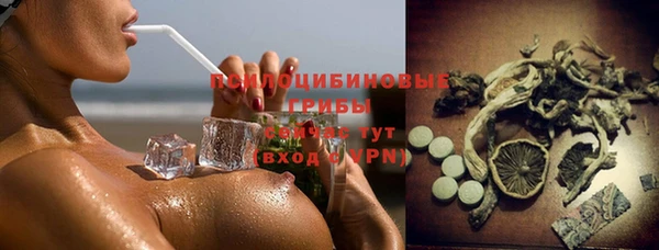 индика Алзамай