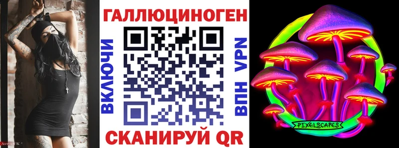 Галлюциногенные грибы Psilocybine cubensis Зубцов