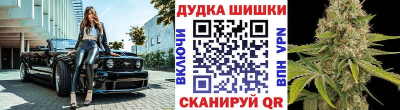 Конопля индика Зубцов
